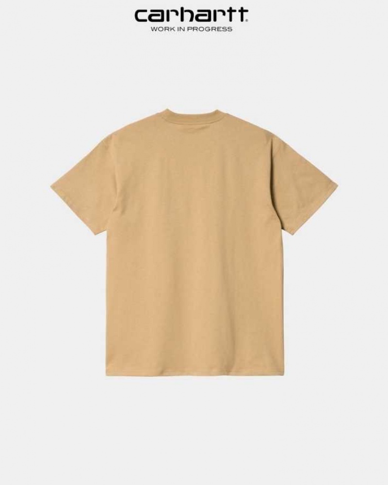 Carhartt Wip Lucky Painter T-Shirt Bruna | SE0000971