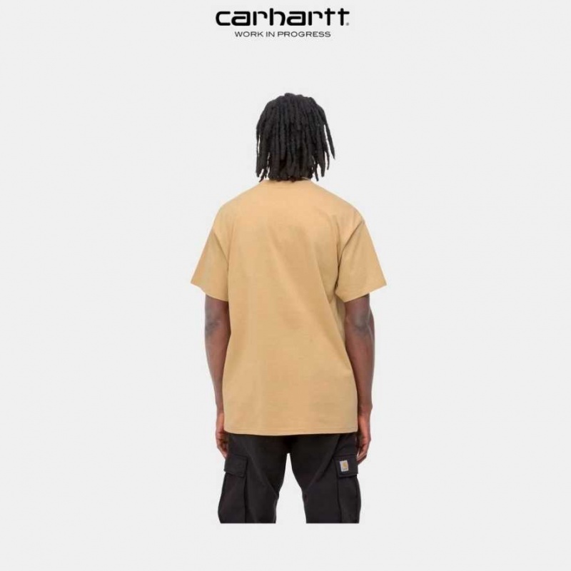 Carhartt Wip Lucky Painter T-Shirt Bruna | SE0000971