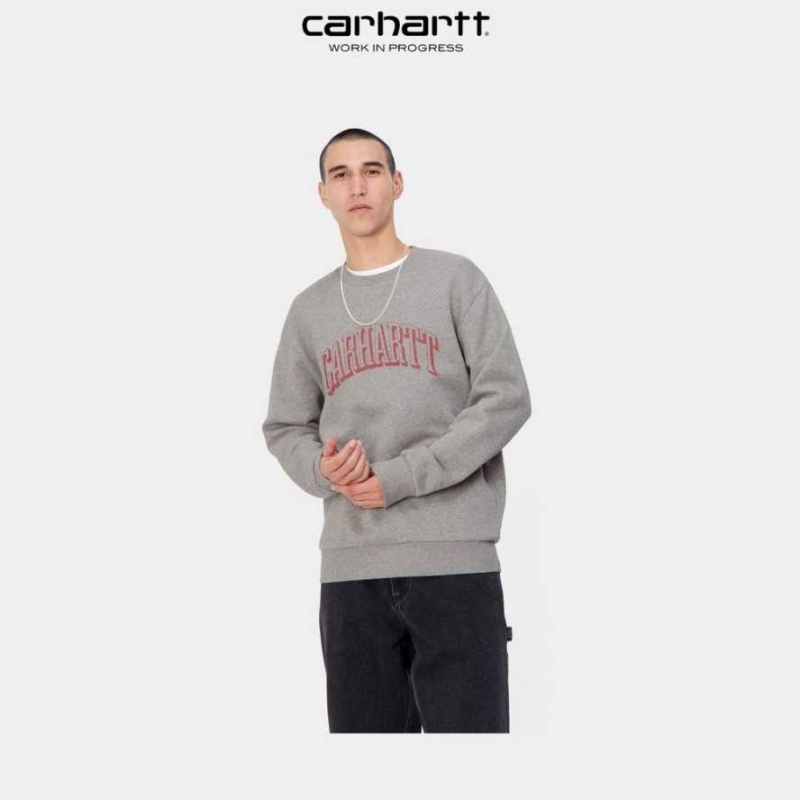 Carhartt Wip Scrawl Sweatshirt Grå | SE0000367