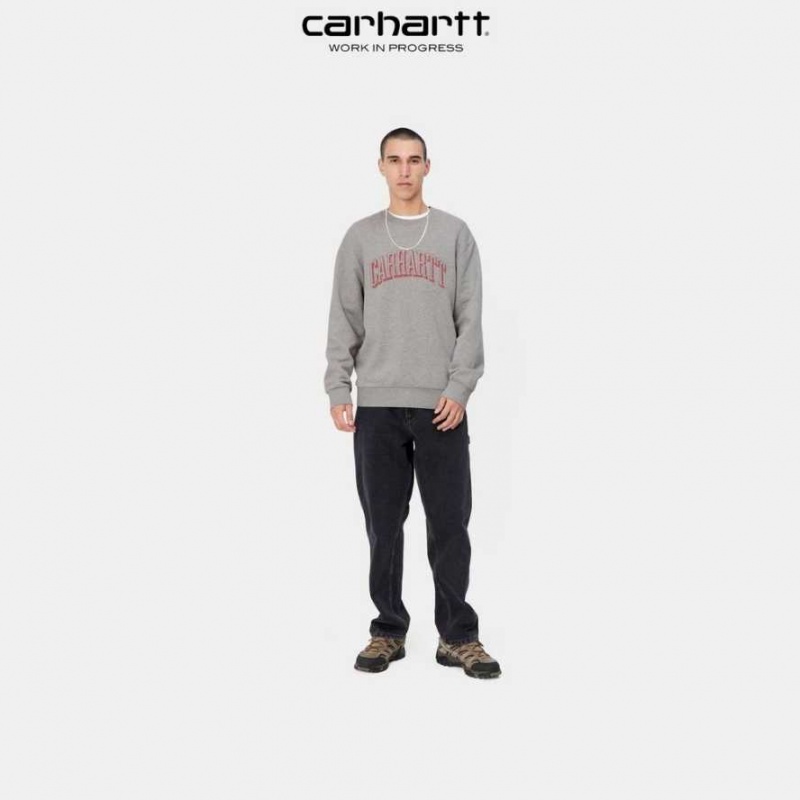 Carhartt Wip Scrawl Sweatshirt Grå | SE0000367