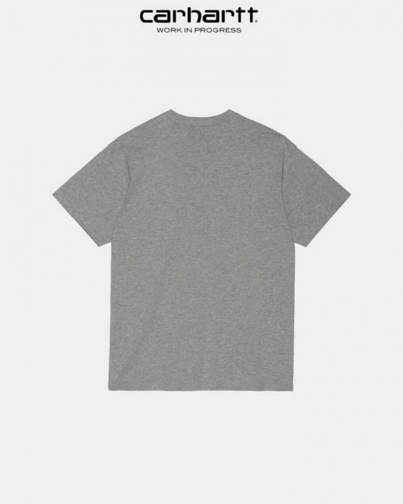 Carhartt Wip Script Embroidery T-Shirt Grå | SE0001040