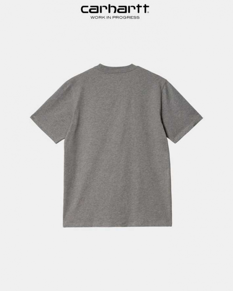 Carhartt Wip Sound Experience T-Shirt Mörkgrå | SE0001055