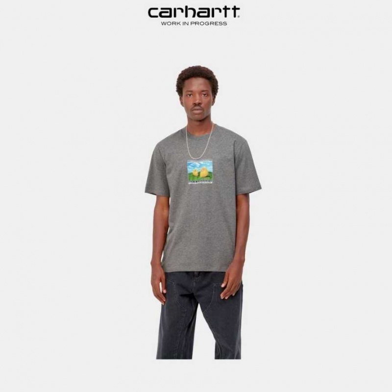 Carhartt Wip Sound Experience T-Shirt Mörkgrå | SE0001055