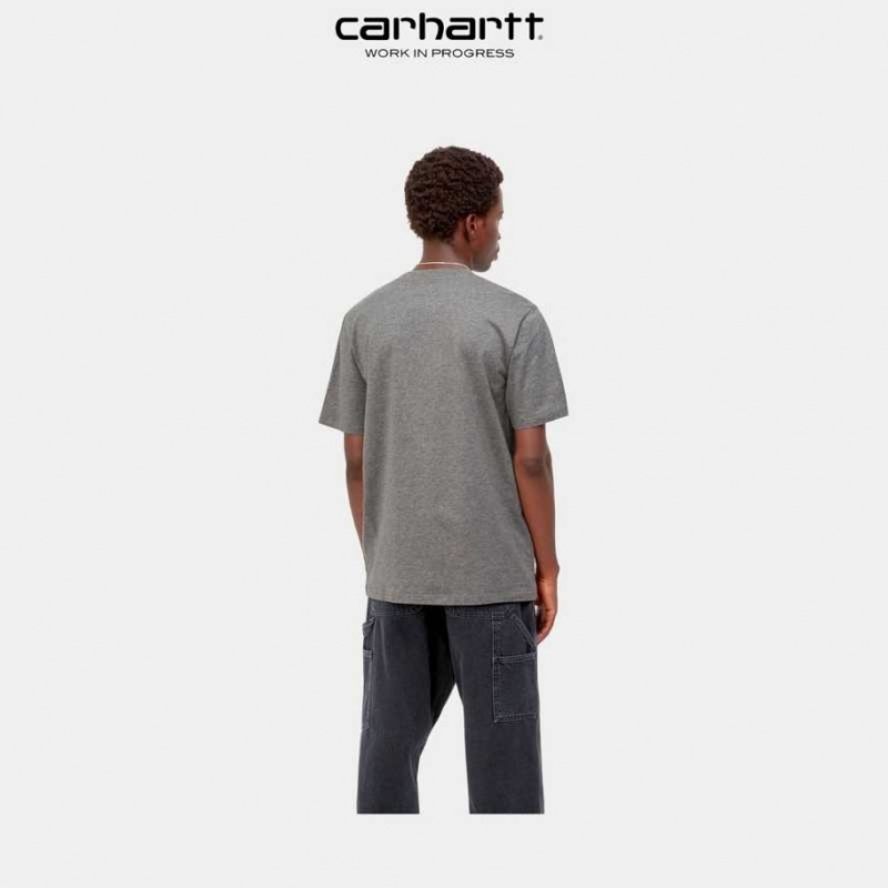 Carhartt Wip Sound Experience T-Shirt Mörkgrå | SE0001055