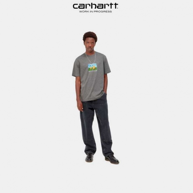 Carhartt Wip Sound Experience T-Shirt Mörkgrå | SE0001055