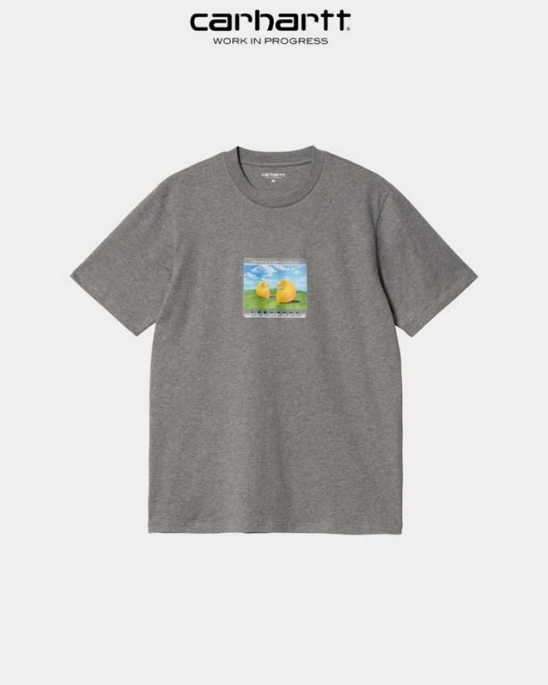 Carhartt Wip Sound Experience T-Shirt Mörkgrå | SE0001055